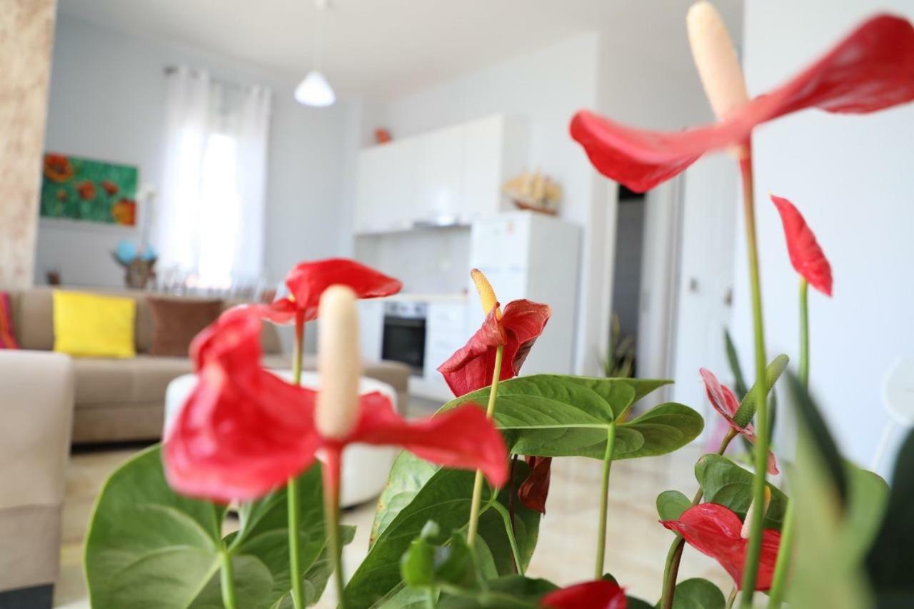 Hakun Matata Rezindence&Apartments Vlorë Extérieur photo